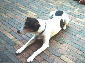 Keukenshots en meer 110606 010