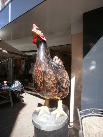 OLYMPUS DIGITAL CAMERA