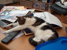 Poezen maken de dienst uit in huize Pool - 2006 001