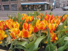 ??????????????????????