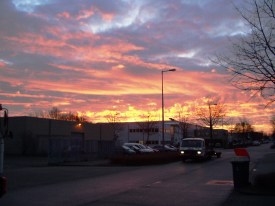 OLYMPUS DIGITAL CAMERA