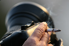 337511318_4a7e803d81_m