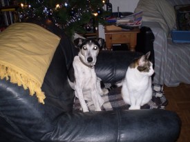 fotoos Truus camera tot en met 110107 016 (2)