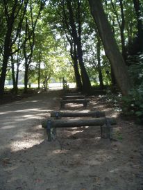 Bosplan - trimbaan fotoserie 150907 div. 007