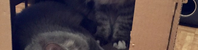 Jarig tweetal… Jarig tweetal…