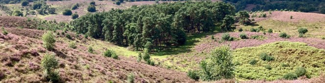 Het einde dat een begin&nbsp;wordt…