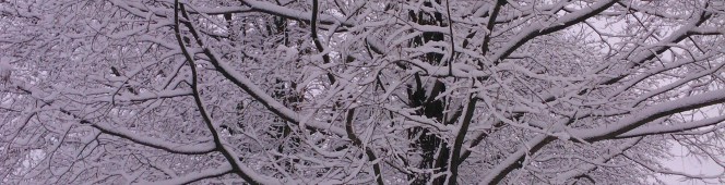 Vrolijk Kerstfeest…