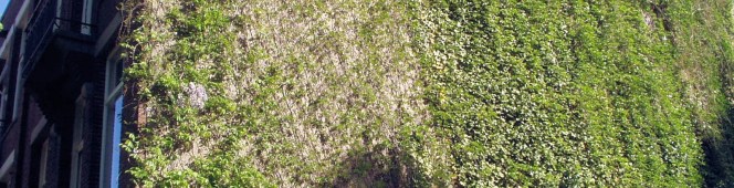 Ratten en kakkerlakken… Ratten en kakkerlakken…