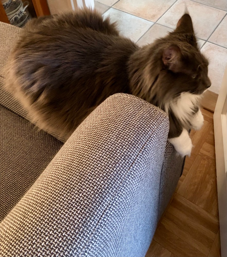 De huidige afbeelding heeft geen alternatieve tekst. De bestandsnaam is: bank-1-img_5228.jpg