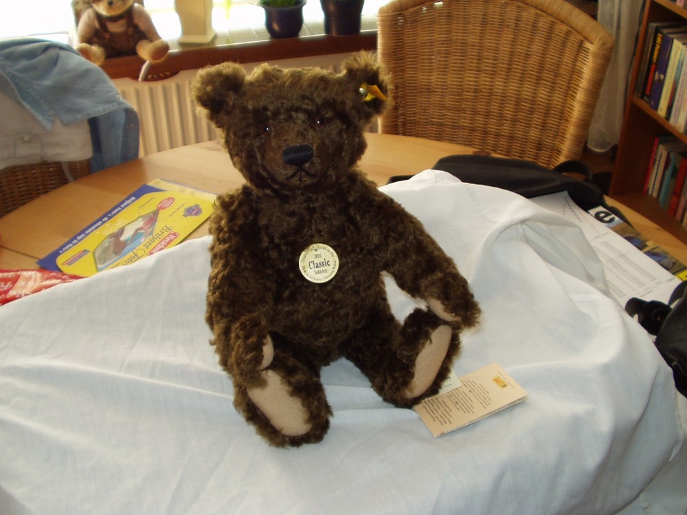 De huidige afbeelding heeft geen alternatieve tekst. De bestandsnaam is: nieuwe-beer.300803.jpg