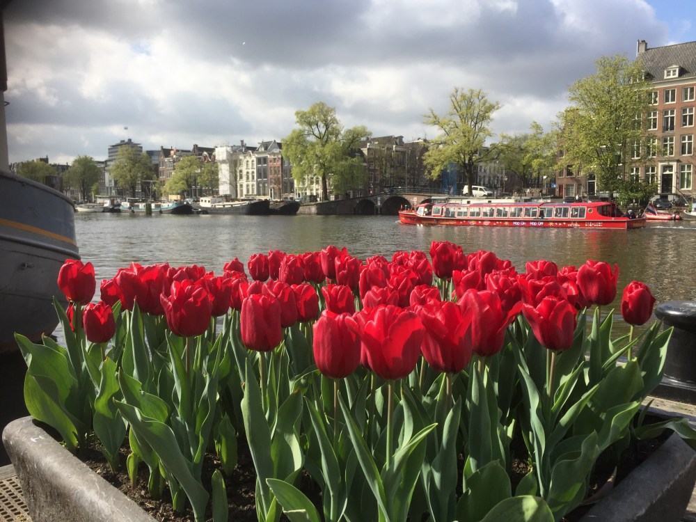 De huidige afbeelding heeft geen alternatieve tekst. De bestandsnaam is: amstel-met-tulpen-img_2325.jpg