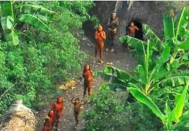 De huidige afbeelding heeft geen alternatieve tekst. De bestandsnaam is: jungle-3.jpg