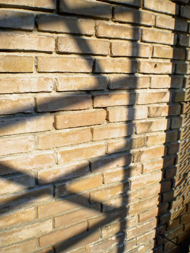 De huidige afbeelding heeft geen alternatieve tekst. De bestandsnaam is: p9160191_edited.jpg