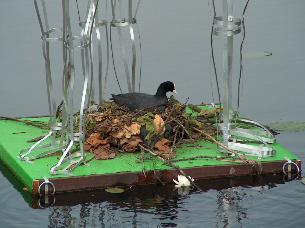 De huidige afbeelding heeft geen alternatieve tekst. De bestandsnaam is: hpim1257a.jpg