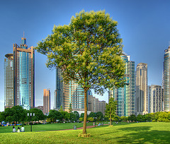 De huidige afbeelding heeft geen alternatieve tekst. De bestandsnaam is: 540417778_1f199acadb_m.jpg