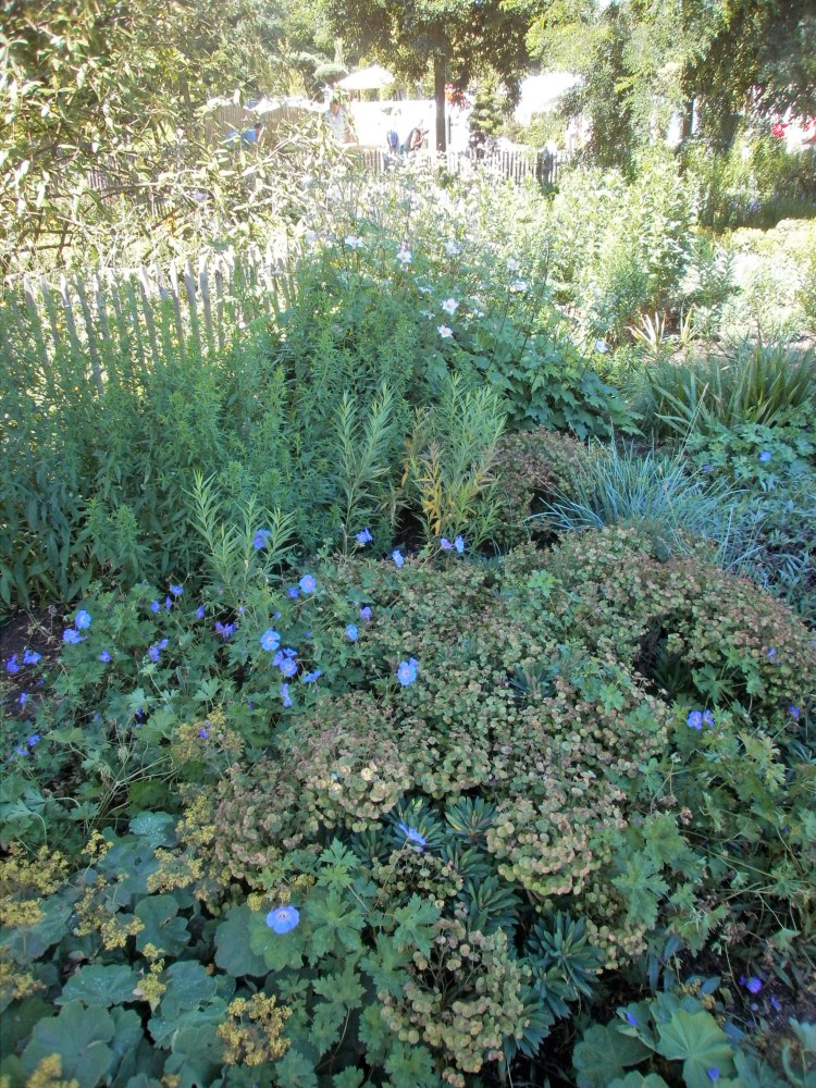 De huidige afbeelding heeft geen alternatieve tekst. De bestandsnaam is: p7240356_edited.jpg