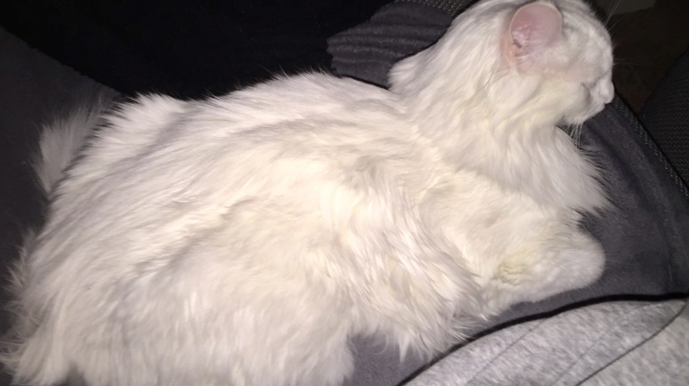 De huidige afbeelding heeft geen alternatieve tekst. De bestandsnaam is: 2518ac79-9eb1-4df7-b179-ea788e8a273a.jpg