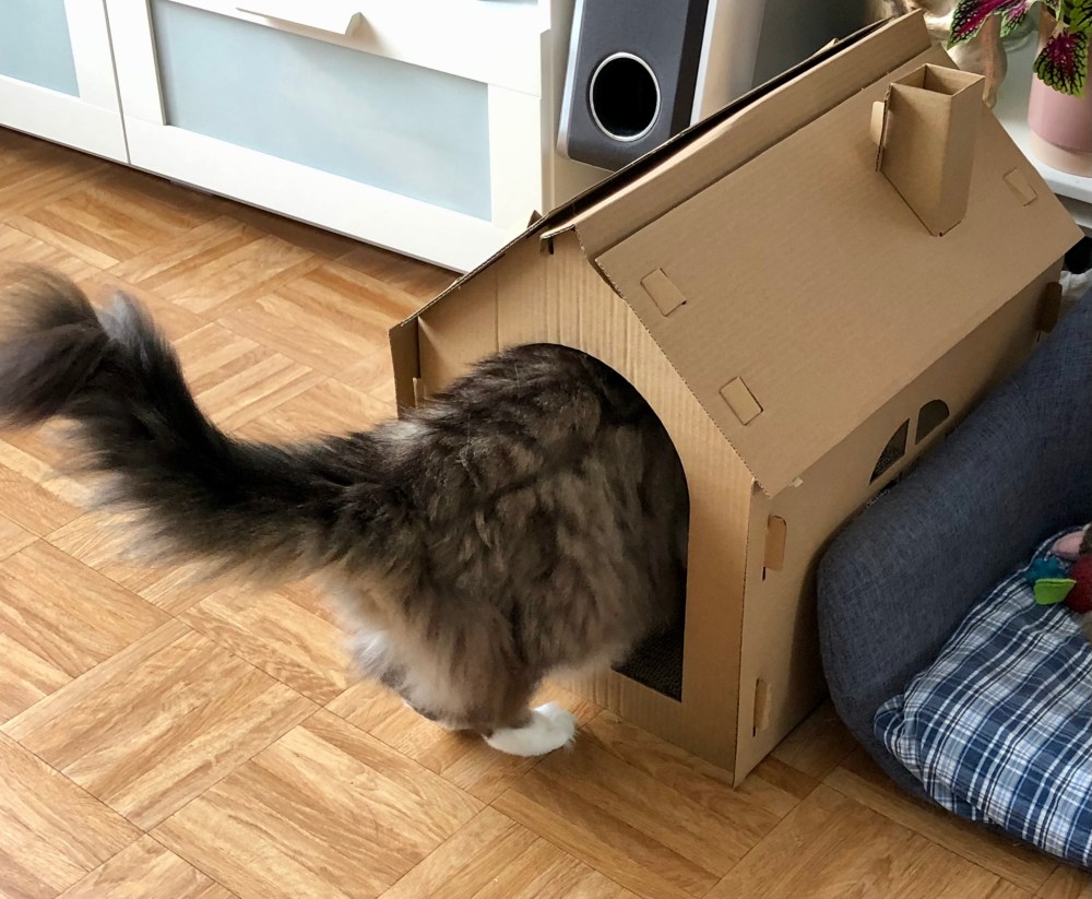 De huidige afbeelding heeft geen alternatieve tekst. De bestandsnaam is: img_3298.jpg