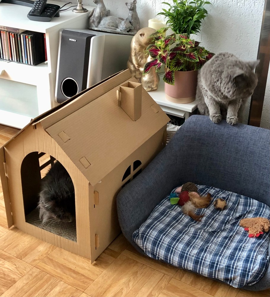 De huidige afbeelding heeft geen alternatieve tekst. De bestandsnaam is: img_3304.jpg