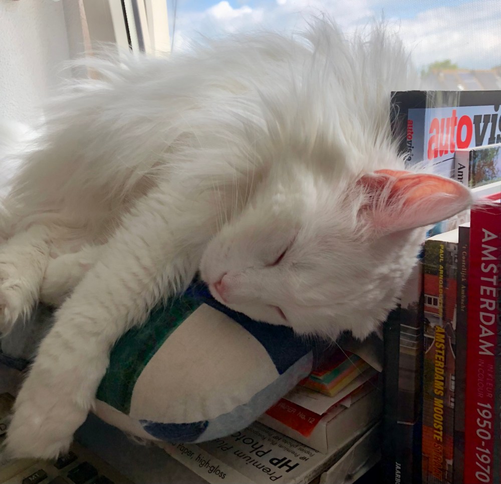 De huidige afbeelding heeft geen alternatieve tekst. De bestandsnaam is: pebbles-naast-mij-in-de-mancave-img_2871.jpg