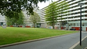 Suriname… Suriname…