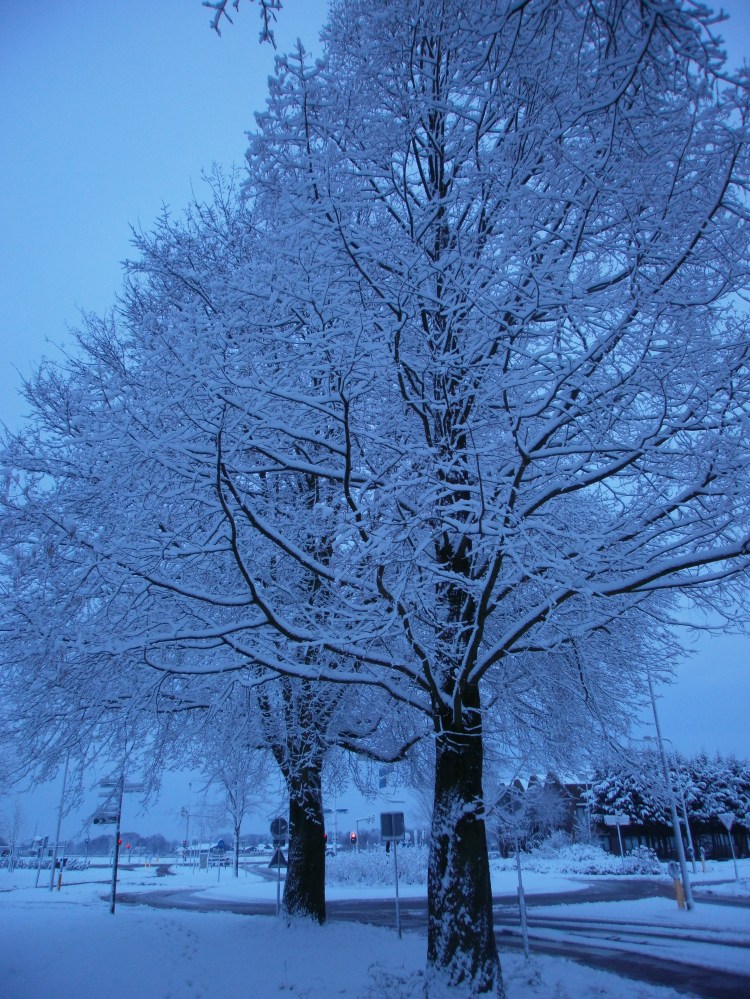 De huidige afbeelding heeft geen alternatieve tekst. De bestandsnaam is: p2100074.jpg