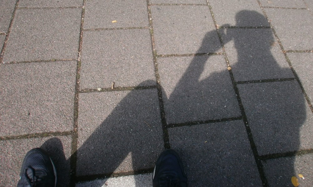 De huidige afbeelding heeft geen alternatieve tekst. De bestandsnaam is: p7260230.jpg