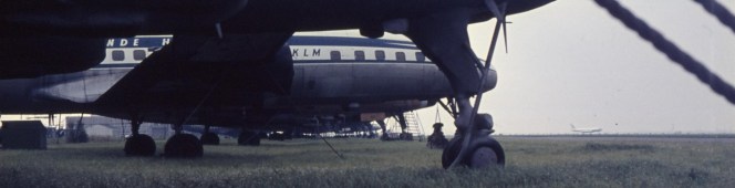 The Queen… The Queen…