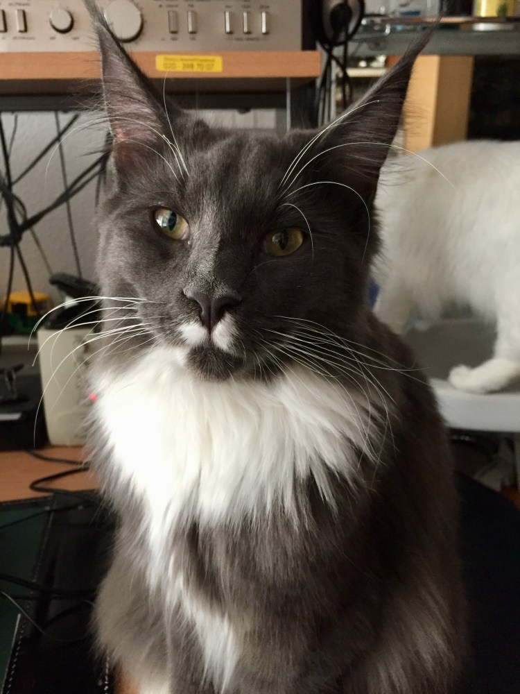 De huidige afbeelding heeft geen alternatieve tekst. De bestandsnaam is: img_7658-kopie.jpg