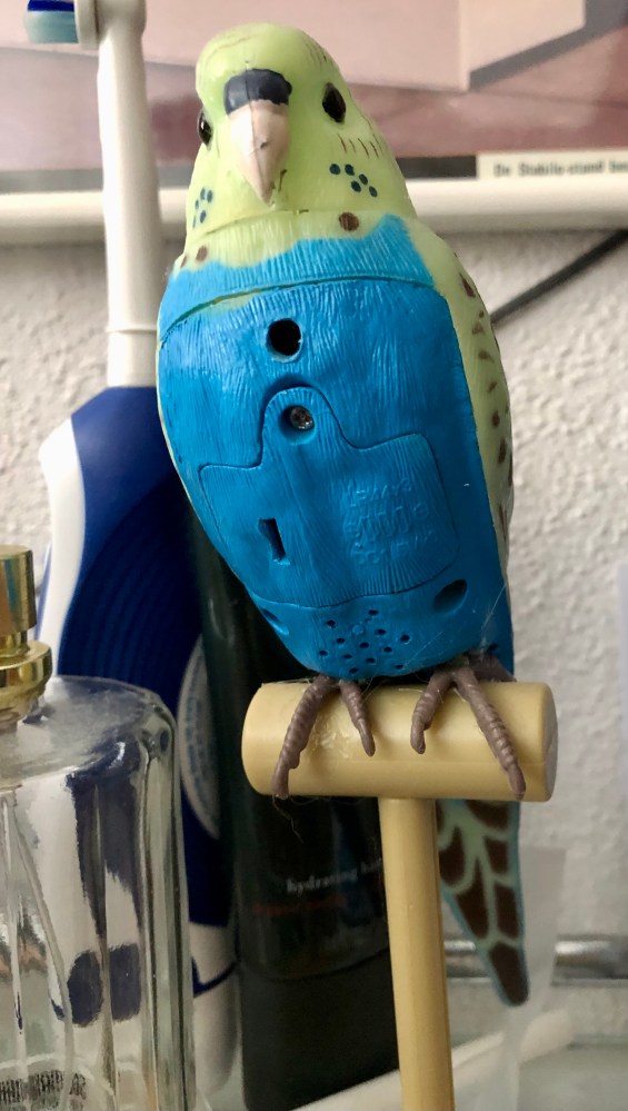 De huidige afbeelding heeft geen alternatieve tekst. De bestandsnaam is: kanarie-op-batterij.jpg