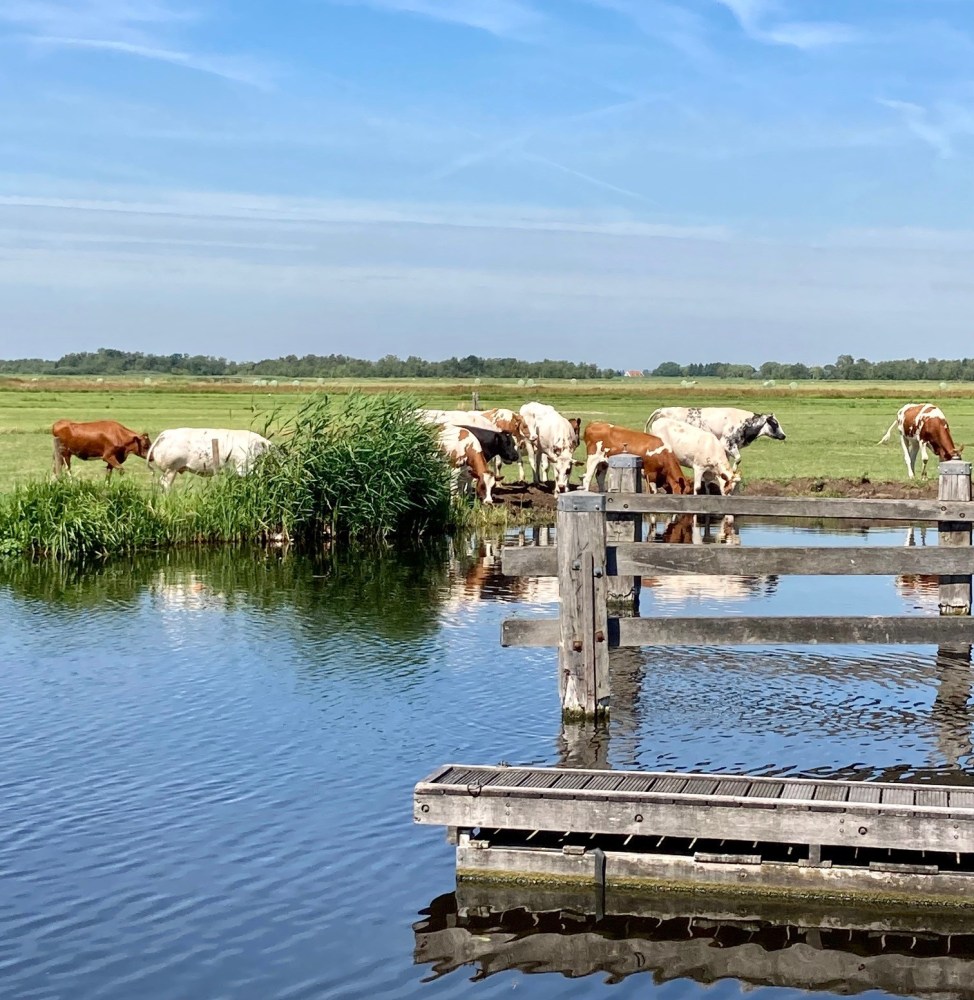 De huidige afbeelding heeft geen alternatieve tekst. De bestandsnaam is: rondehoep-5.jpg