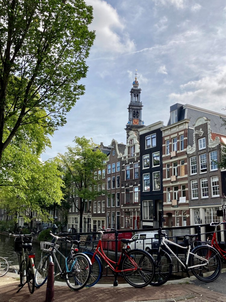 De huidige afbeelding heeft geen alternatieve tekst. De bestandsnaam is: riet-bezoek-wester-.jpg